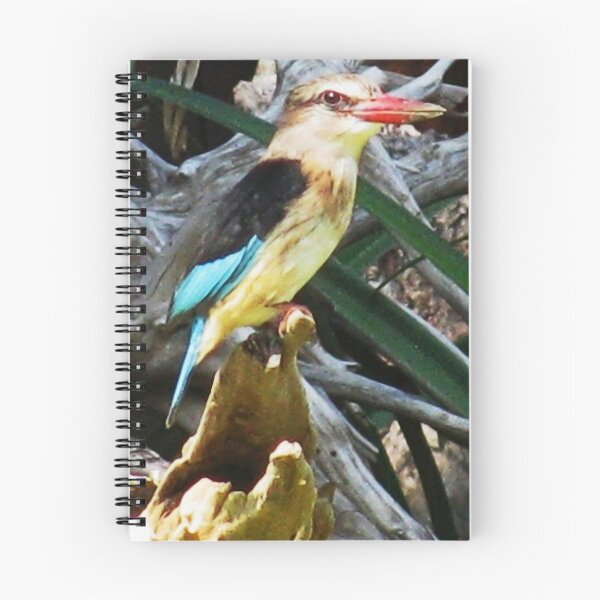 Item preview, Brown-hooded Kingfisher Perched on Driftwood designed and sold by JaneFlowersAfrica.