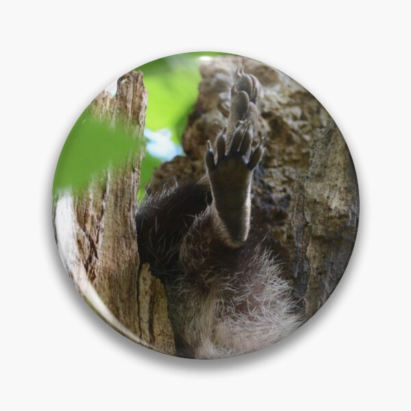 Item preview, sleeping raccoon designed and sold by photographic contemplations.