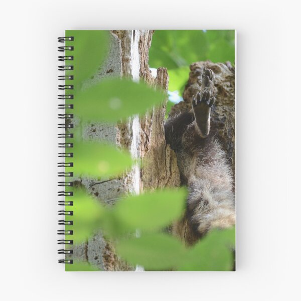 Item preview, sleeping raccoon designed and sold by photographic contemplations.