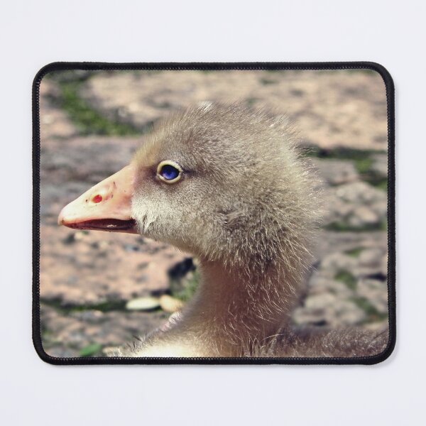 Item preview, Profile Portrait of a Blue-Eyed Gosling designed and sold by JaneFlowersAfrica.