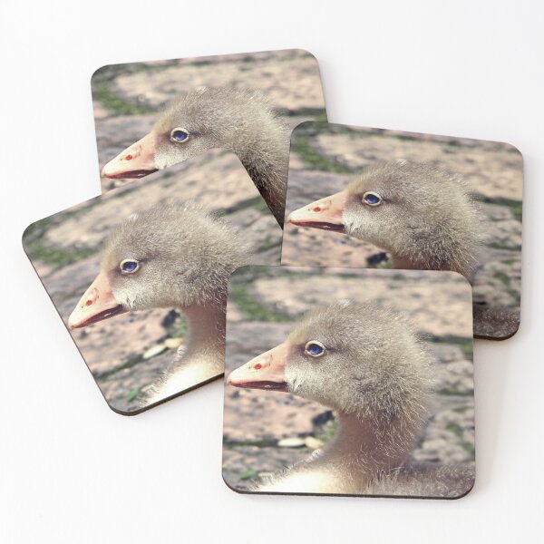 Item preview, Profile Portrait of a Blue-Eyed Gosling designed and sold by JaneFlowersAfrica.
