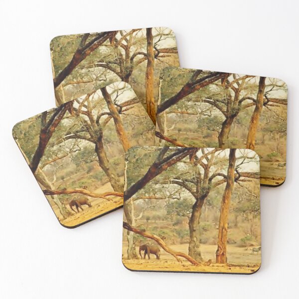 Item preview, Golden Giants: Elephants among Albida Trees in Mana Pools designed and sold by JaneFlowersAfrica.