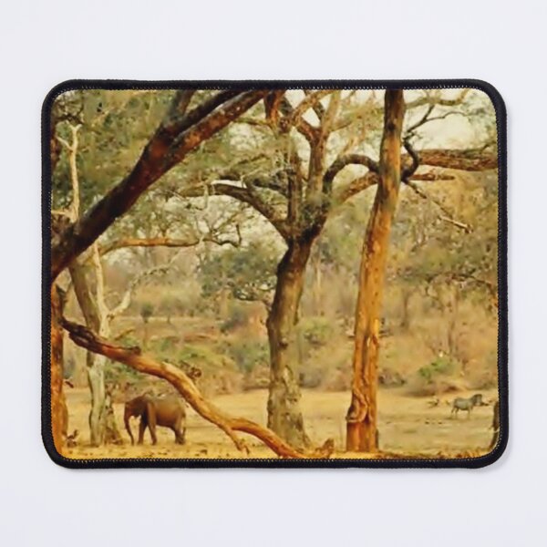 Item preview, Golden Giants: Elephants among Albida Trees in Mana Pools designed and sold by JaneFlowersAfrica.