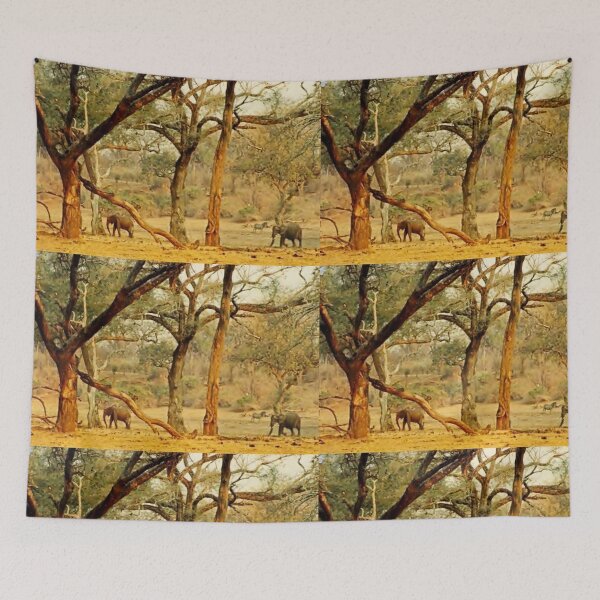 Item preview, Golden Giants: Elephants among Albida Trees in Mana Pools designed and sold by JaneFlowersAfrica.