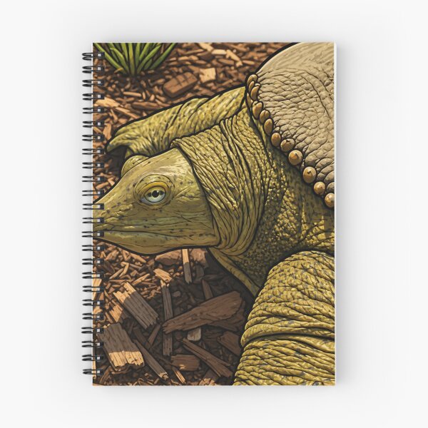 Item preview, Softshell Turtle designed and sold by FishNerd2006.