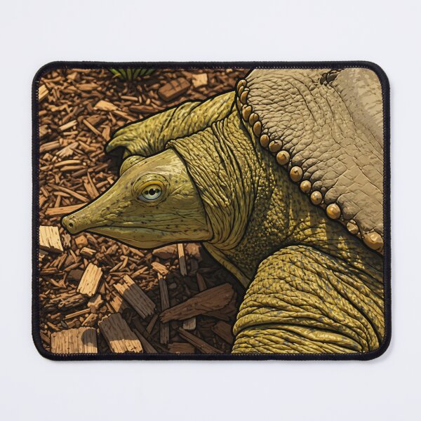 Item preview, Softshell Turtle designed and sold by FishNerd2006.