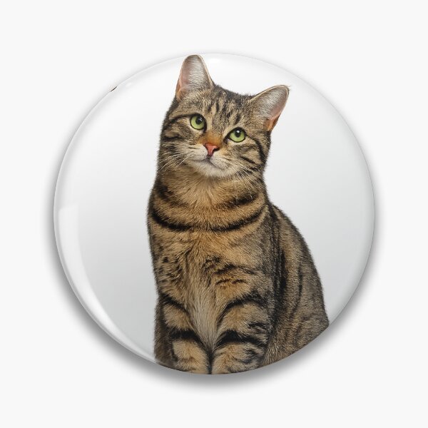 Item preview, Approved by my cat Tigré! designed and sold by BeDogRonrons.