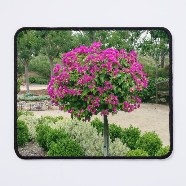 Item preview, Garden designed and sold by heatherfriedman.