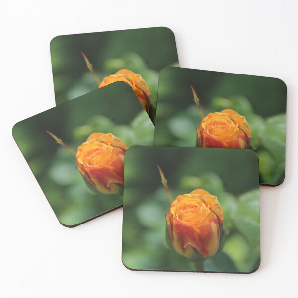 Item preview, Fiery orange rose close-up - Nature photography designed and sold by Cha-s-lens.