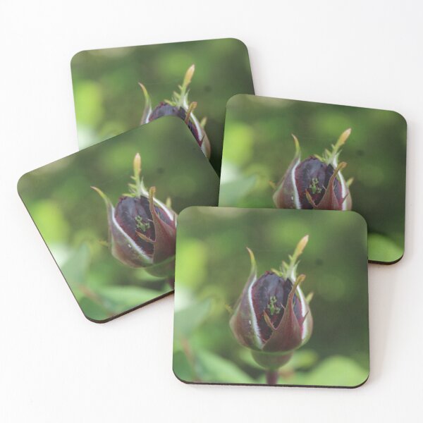 Item preview, A dark purple rose close up - Nature photography designed and sold by Cha-s-lens.