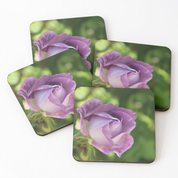 Item preview, A soft romantic purple rose - Nature photography designed and sold by Cha-s-lens.