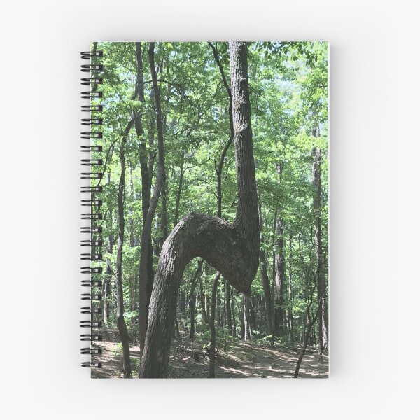 Aperçu de l'œuvre Arbre marqueur créée et vendue par FishNerd2006.
