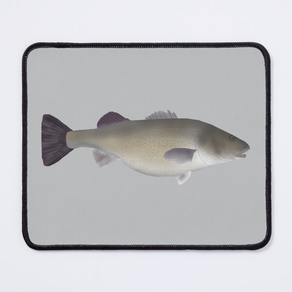Item preview, Creole Perch designed and sold by fishfolkart.