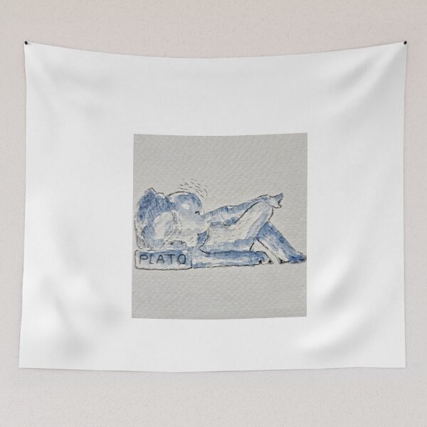 Item preview, Plato's Pillow: Inconveniently Smart! designed and sold by Rak Scenist.