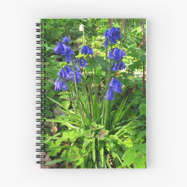 Item preview, English Bluebells designed and sold by wiggyofipswich.