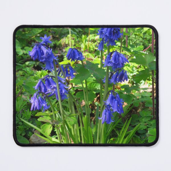Item preview, English Bluebells designed and sold by wiggyofipswich.
