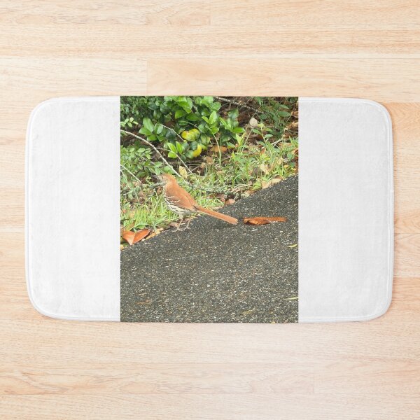 Item preview, Melodies of Nature: The Brown Thrasher. designed and sold by Pearls1.