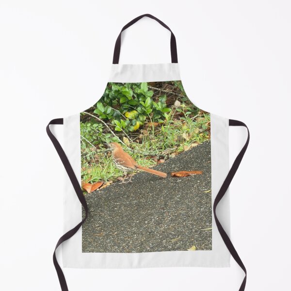 Item preview, Melodies of Nature: The Brown Thrasher. designed and sold by Pearls1.