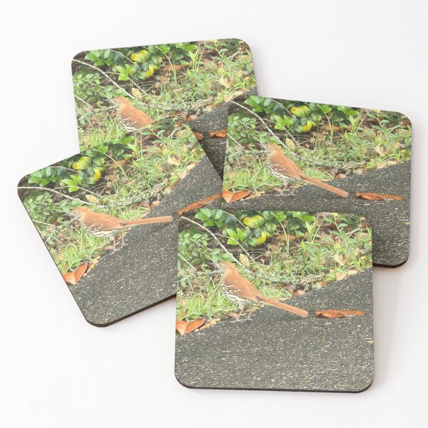 Item preview, Melodies of Nature: The Brown Thrasher. designed and sold by Pearls1.