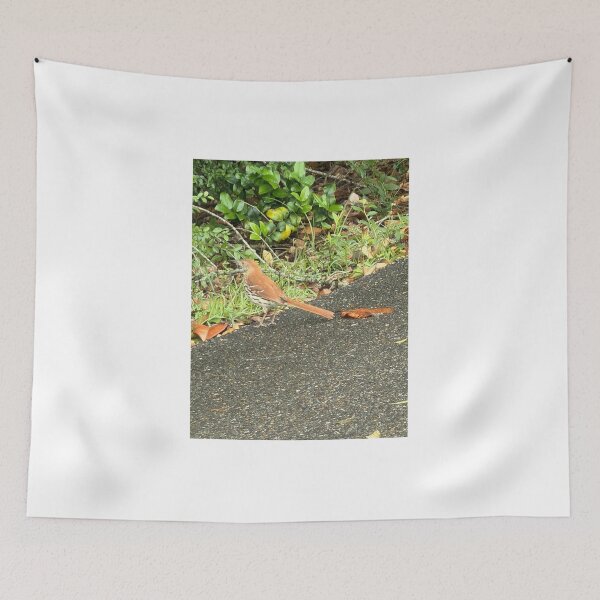 Item preview, Melodies of Nature: The Brown Thrasher. designed and sold by Pearls1.
