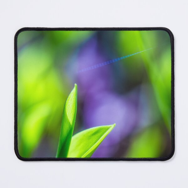 Item preview, Vibrant Green Leaf Close-Up designed and sold by Veikko  Suikkanen.