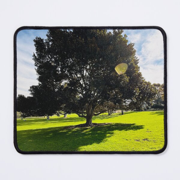 Item preview, Large Evergreen Tree in Sunny Park with Blue Sky designed and sold by BalkanBloom.