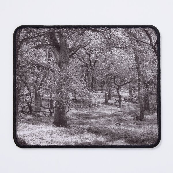 Item preview, That Kinclaven (2) designed and sold by ShinyPhoto.