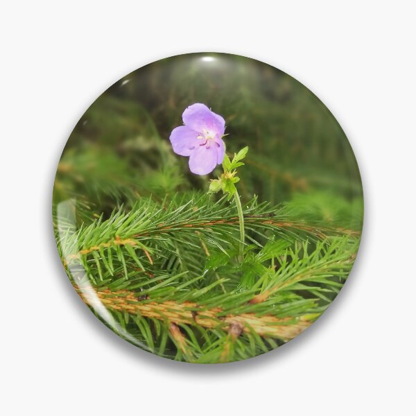 Item preview, Purple wildflower growing through pine needles. Geranium. designed and sold by Sky-99.
