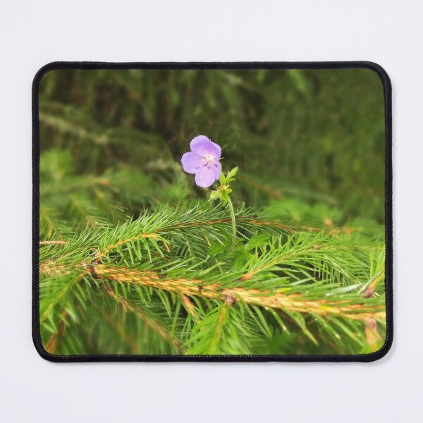 Item preview, Purple wildflower growing through pine needles. Geranium. designed and sold by Sky-99.