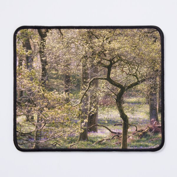 Item preview, That Kinclaven (1) designed and sold by ShinyPhoto.
