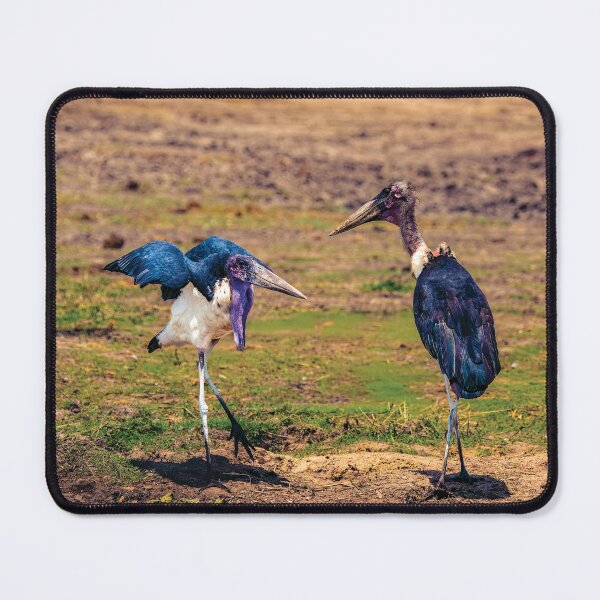 Item preview, A Maribou Stork Hissy Fit designed and sold by Kay Brewer.