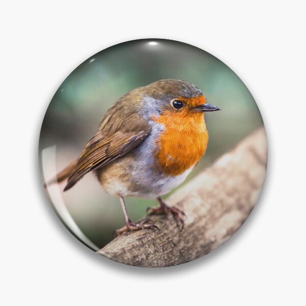 Item preview, Red Robin England's Bird of the Nation designed and sold by TheMarske.