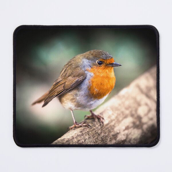 Item preview, Red Robin England's Bird of the Nation designed and sold by TheMarske.