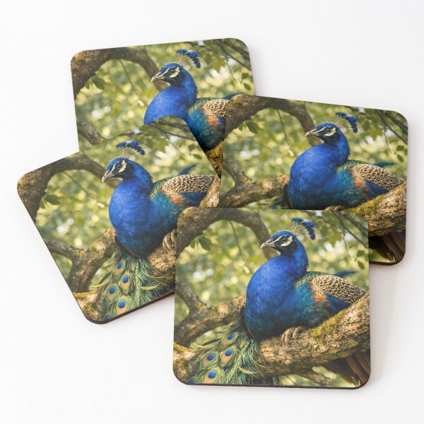 Item preview, Beautiful Male Peacock Sitting in a Tree designed and sold by CarolM.