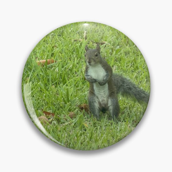 Item preview, Grey Squirrel Walking on Two Legs. designed and sold by Pearls1.