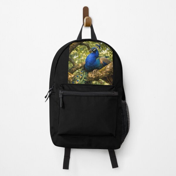 Item preview, Beautiful Male Peacock Sitting in a Tree designed and sold by CarolM.