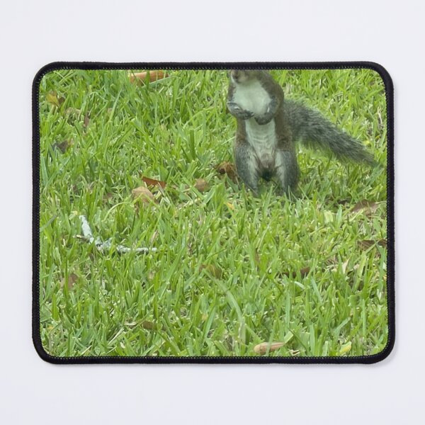 Item preview, Grey Squirrel Walking on Two Legs. designed and sold by Pearls1.