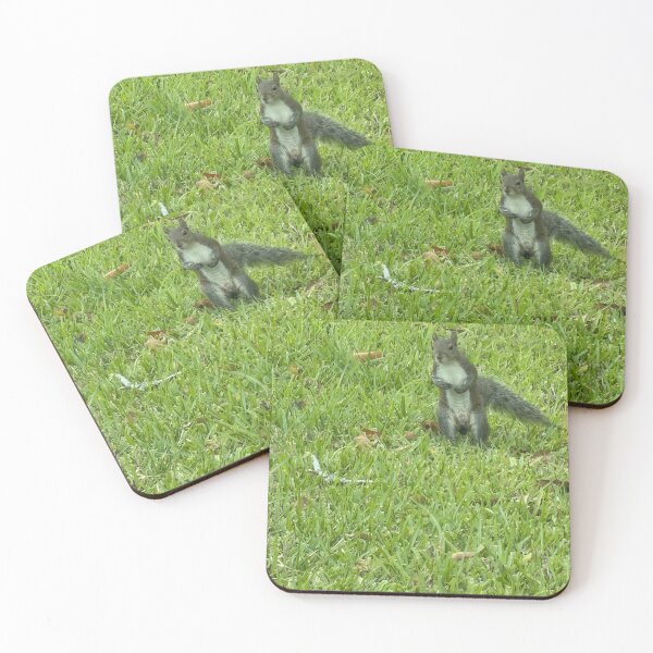 Item preview, Grey Squirrel Walking on Two Legs. designed and sold by Pearls1.