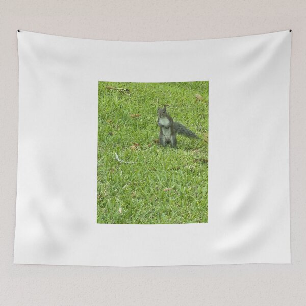 Item preview, Grey Squirrel Walking on Two Legs. designed and sold by Pearls1.
