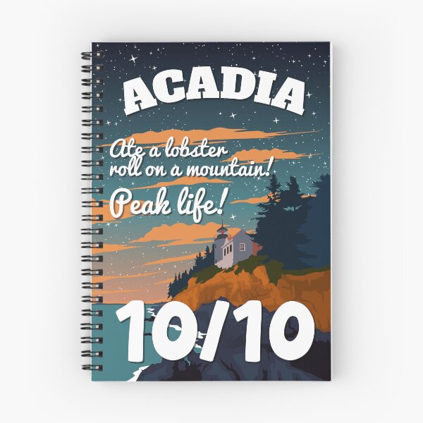 Item preview, Acadia National Park 10/10 The Stars Are Very Bright Astronaut Funny Vintage Poster designed and sold by Stadify.