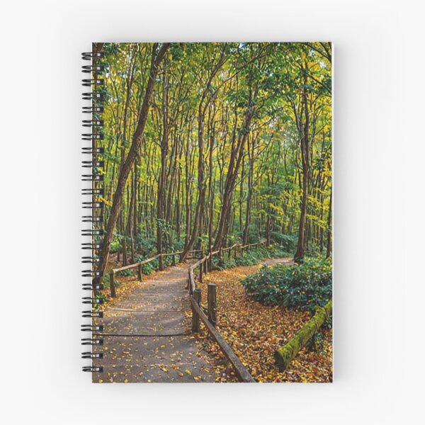 Item preview, Jasmund National Park, Rügen designed and sold by sid1802.