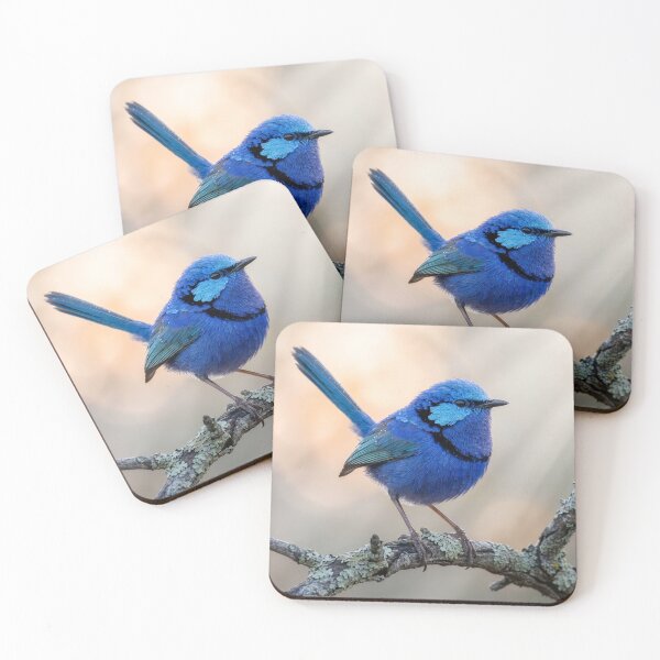Item preview, Splendid Fairywren Perches on a Branch designed and sold by Tridentulus.