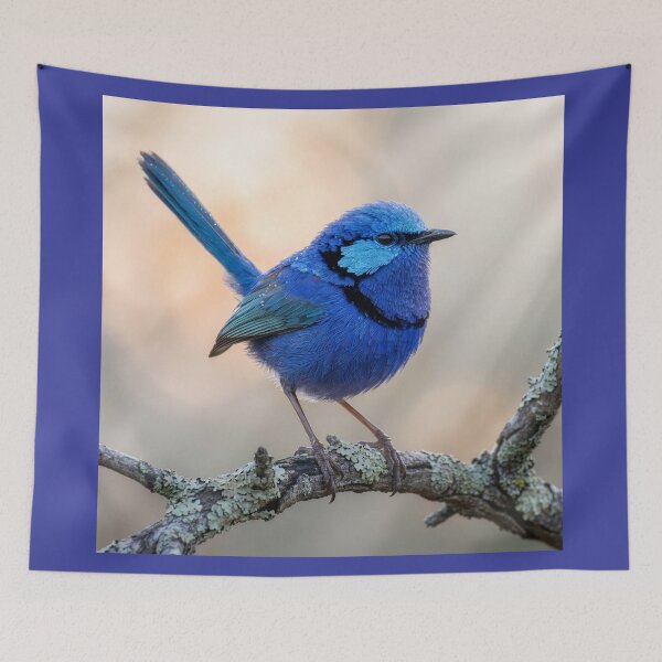 Item preview, Splendid Fairywren Perches on a Branch designed and sold by Tridentulus.