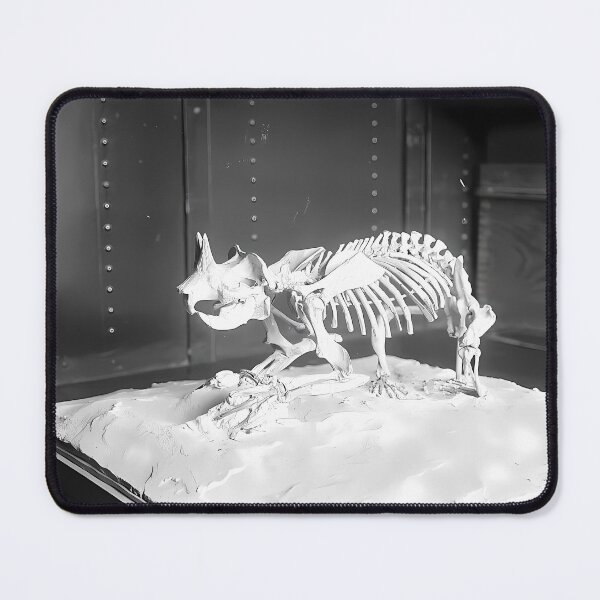 Item preview, Dinosaur Skeleton | Skull Art designed and sold by GammaRay.