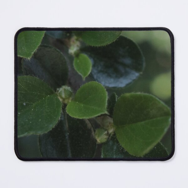 Item preview, Deep Green Foliage Texture - Dark Cottagecore Nature Art designed and sold by vikko-art.
