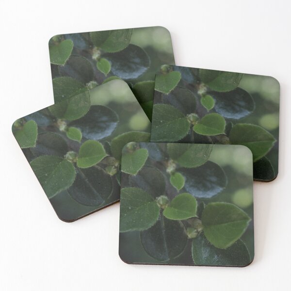 Item preview, Deep Green Foliage Texture - Dark Cottagecore Nature Art designed and sold by vikko-art.