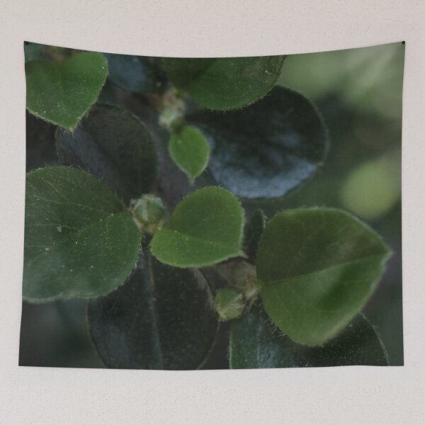 Item preview, Deep Green Foliage Texture - Dark Cottagecore Nature Art designed and sold by vikko-art.
