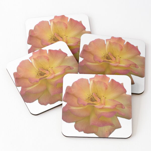 Item preview, Bicolor Yellow and Pink Rose Isolated on White Background designed and sold by BalkanBloom.