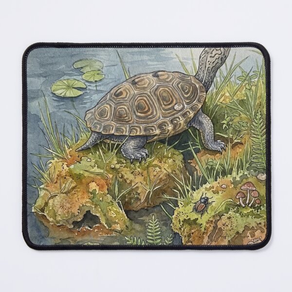 Item preview, Maryland Terrapin designed and sold by FishNerd2006.