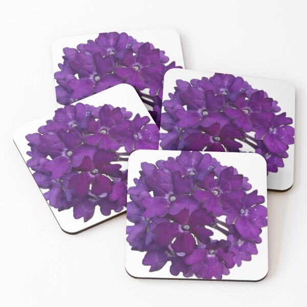 Item preview, Deep Purple Verbena Flower Cluster Isolated on White designed and sold by BalkanBloom.